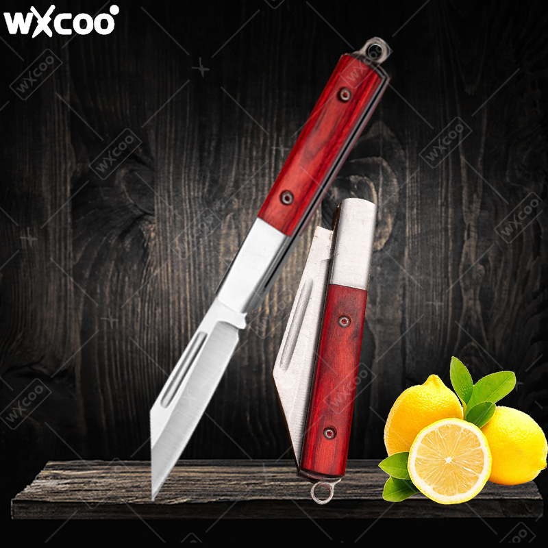 Stainless Steel Pocket Knife R - Gaming Kitchen Accessories review and price