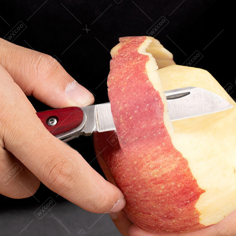 Stainless Steel Pocket Knife R - Gaming Kitchen Accessories review and price