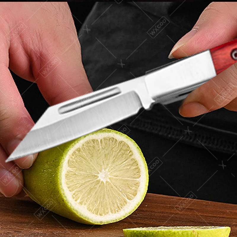Stainless Steel Pocket Knife R - Gaming Kitchen Accessories review and price